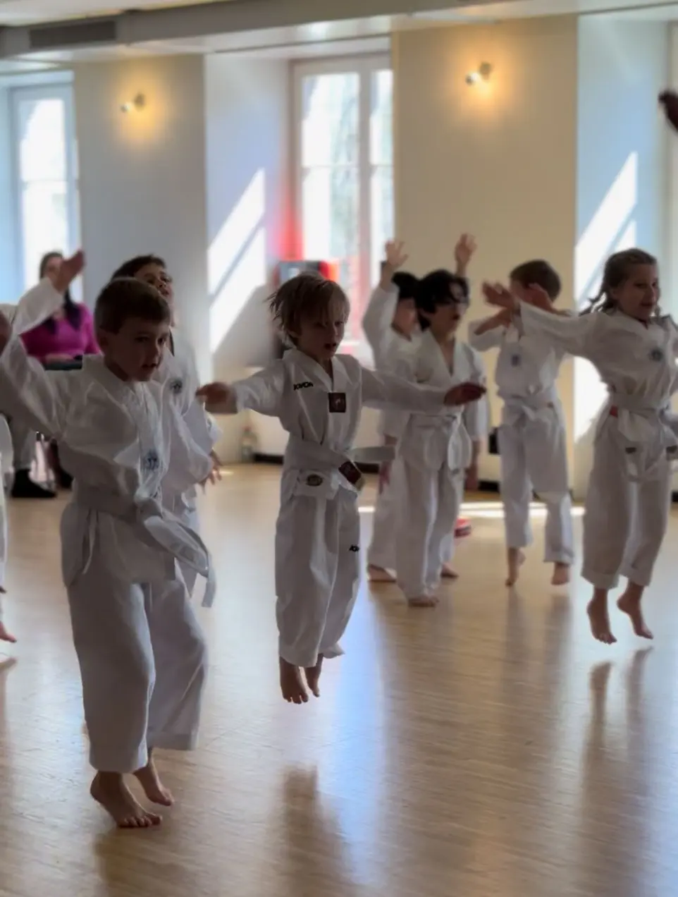 Taekwondo Schweiz