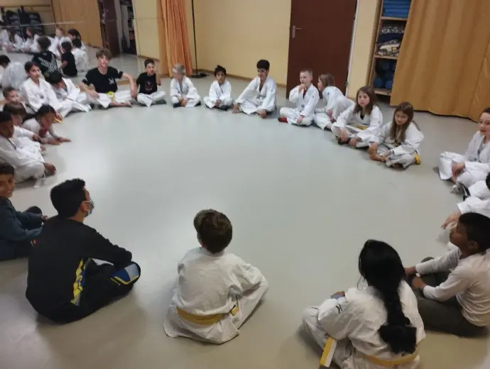 Lehren des Taekwondo