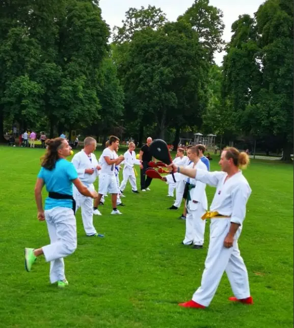 Taekwondo Schule für Erwachsene in der Schweiz